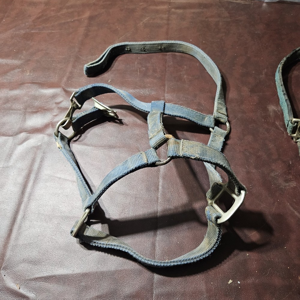 Two Yearling Medium Horse Leather Double Poly Stitched Halter
