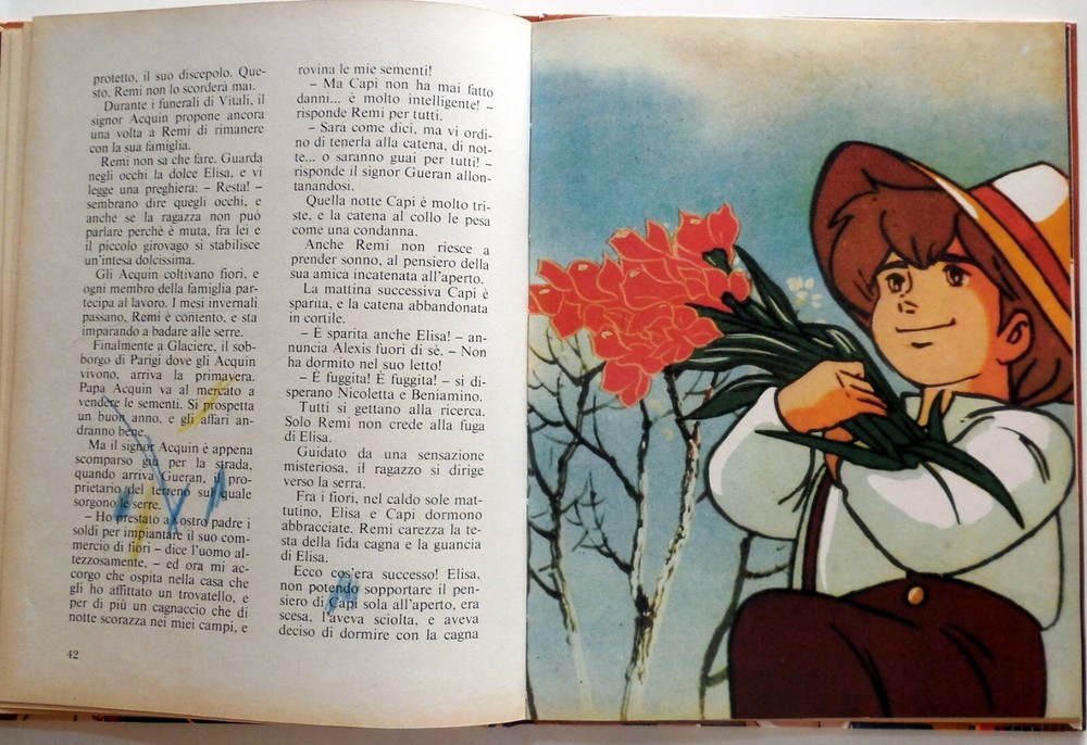 REMI HIS ADVENTURES ERI JUNIOR 1979