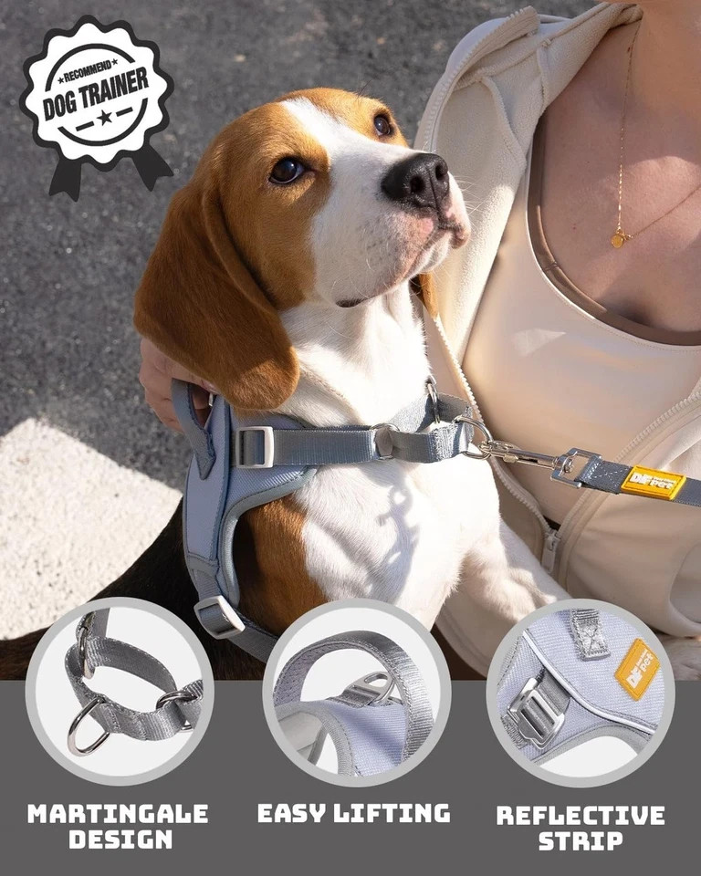 DF No Pull Step-in Martingale Dog Harness Stop Pulling Choking, Reflective Size5