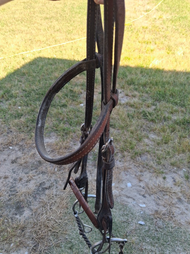 headstall with combination bit