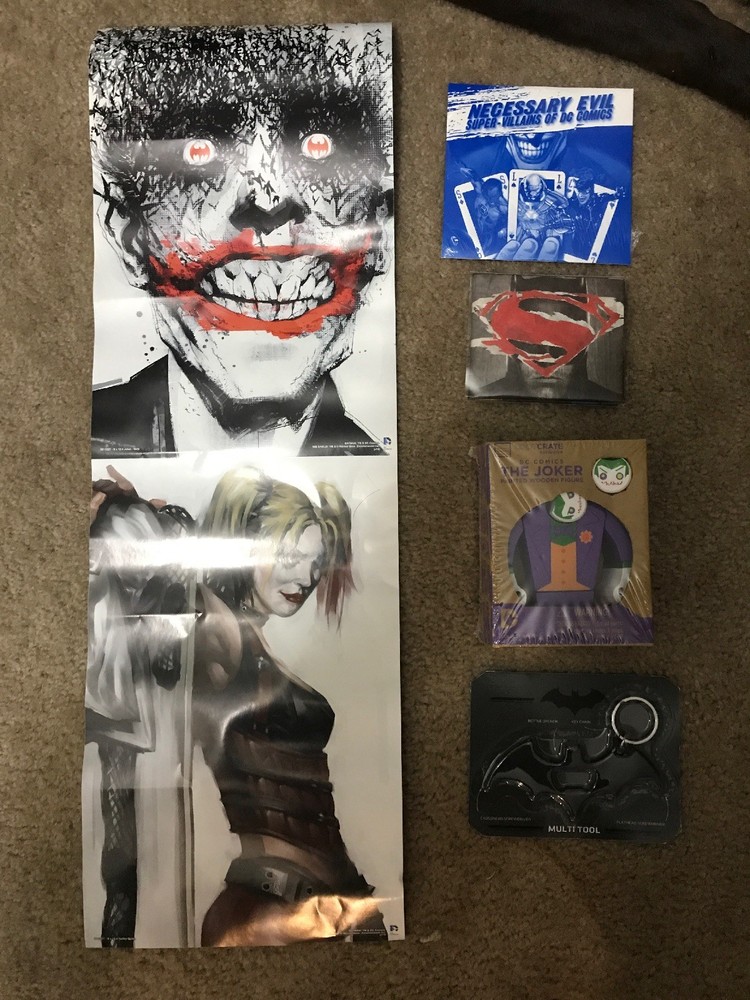 Loot Crate DC Collectable Lot