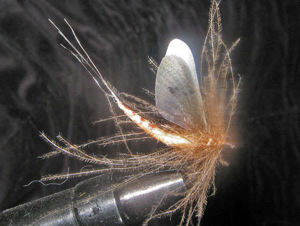 Hemingway Realistic May Fly Wings