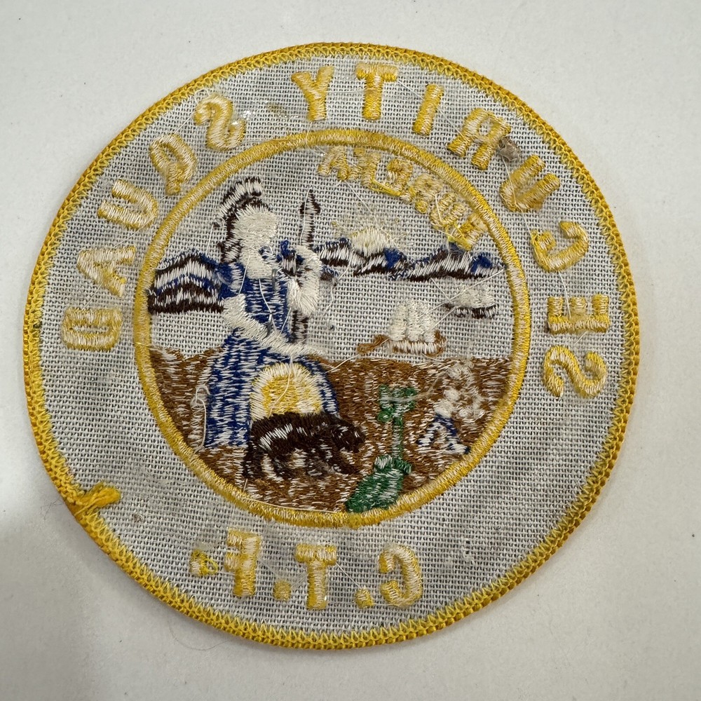 Vintage Security Squad Eureka C.T.F. 4” Round Patch