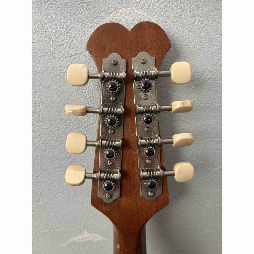 KUNISHIMA wood grain 8 string mandolin with case