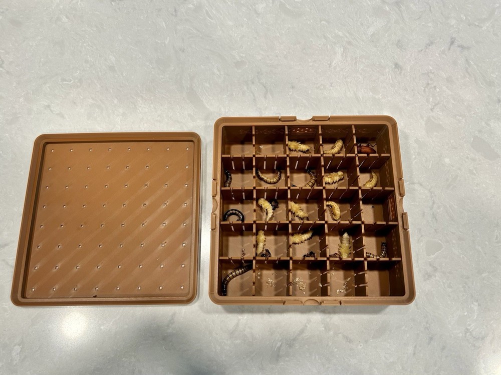 Superworm Pupation Station (25 Slots) Elevate Your Bug-breeding Setup!