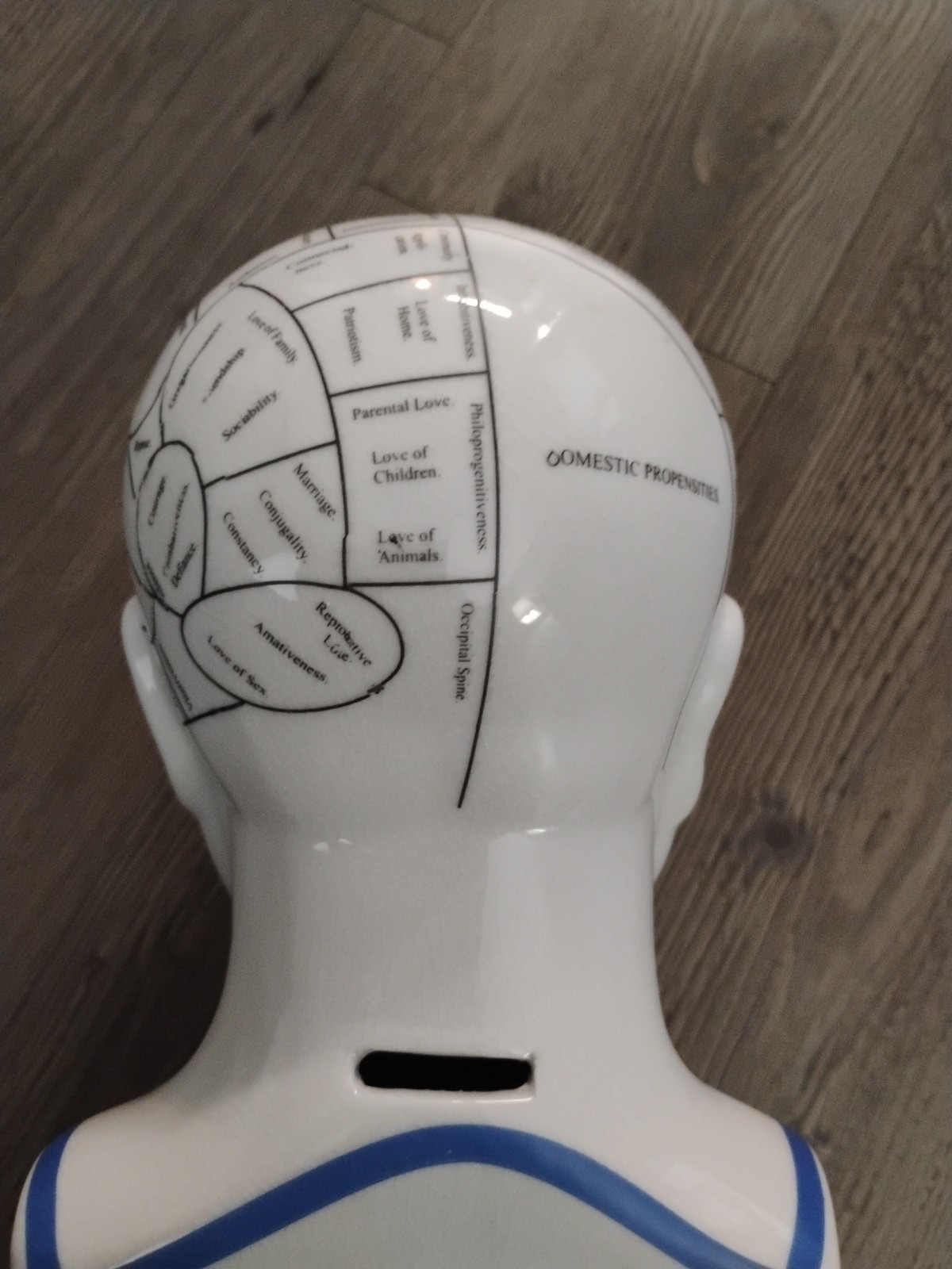 Phrenology Bust L.N. Fowler Scientific Psychology 12" Bank Ceramic Head