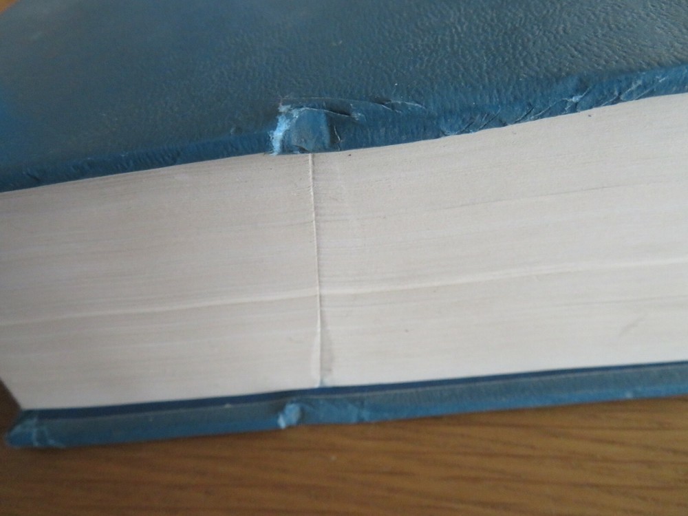 The Macmillan Encyclopedia Hardback 1st 1981