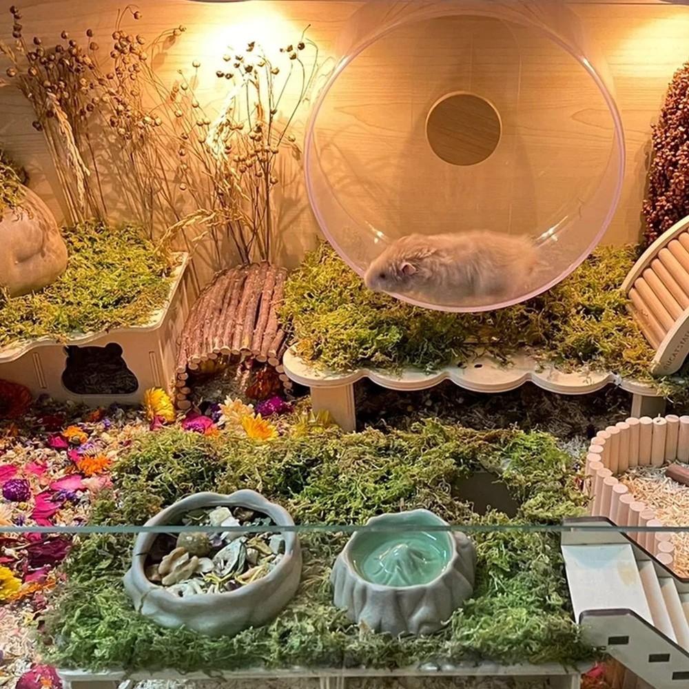 5L Forest Moss For Hamster Bedding Nesting Syrian Gerbil Cage Accessory