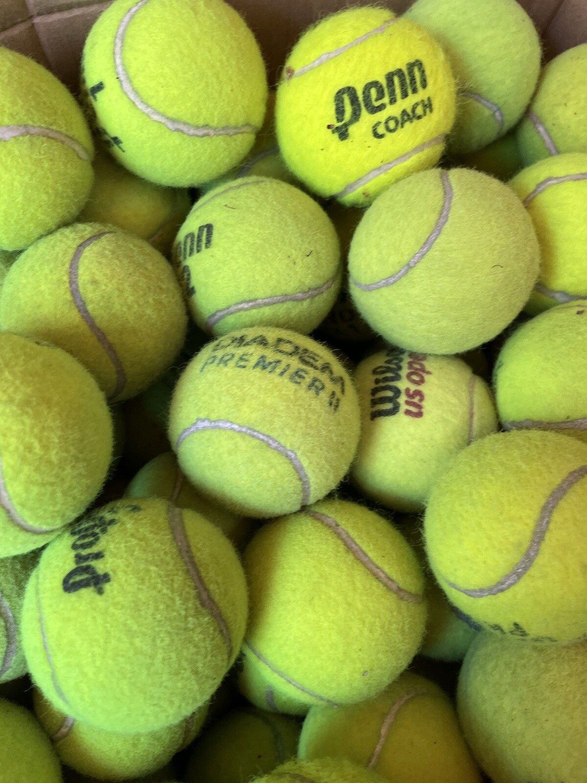 10 of Good Grade used Tennis Balls from Wilson, Dunlop, Penn, Head, etc Dog Toys