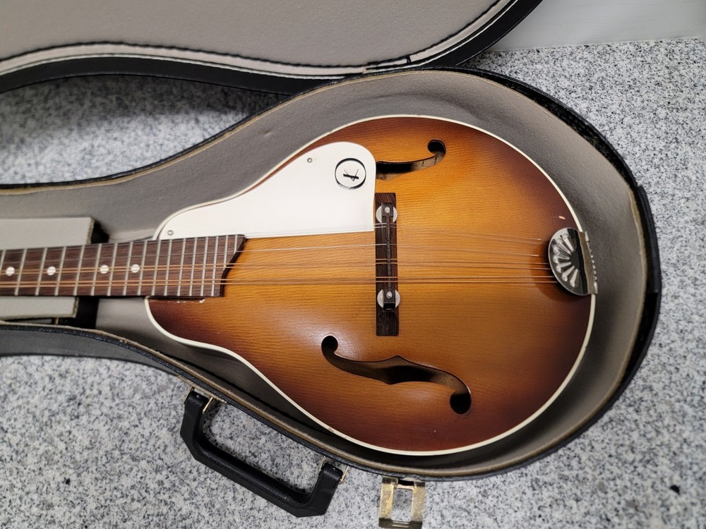 Vintage Kay Mandolin 8-String(Missing One) N7?