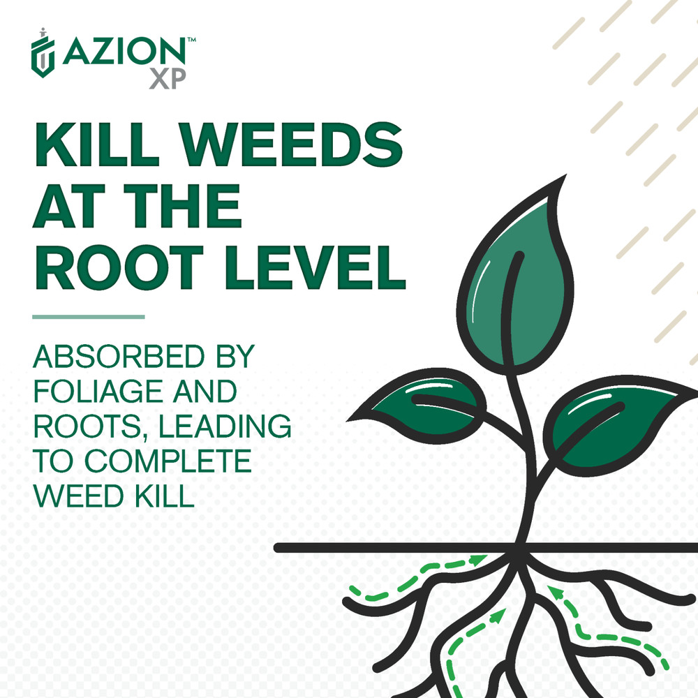 Azion XP Herbicide (16 oz) - MSM - Selective Postemergence Weed & Brush Control