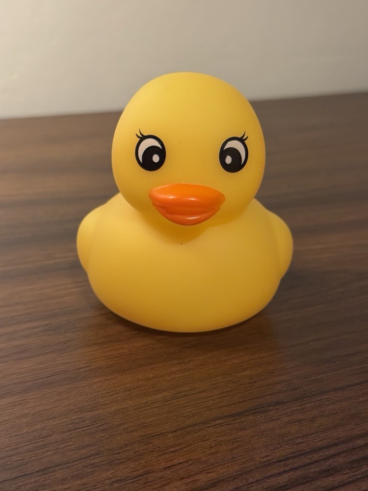 Light Up Duck