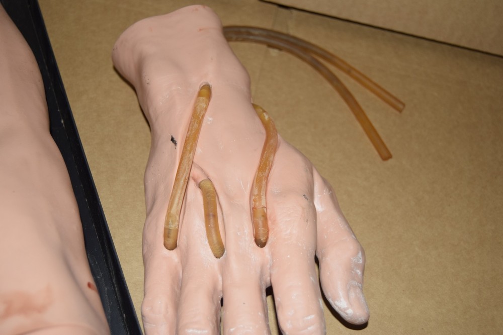 Phlebotomy / Venipuncture Practice Training Arm Hand Model Nurses Techs EMT's