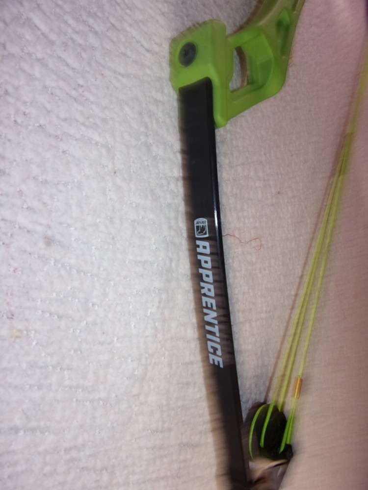 Bear Apprentice Youth Compound Bow