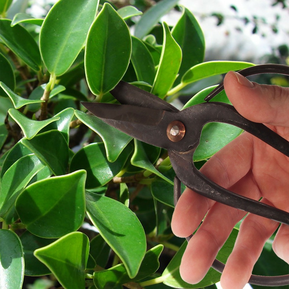 BambooMN - Bonsai 7" Heavy Duty Butterfly Pruning Shear