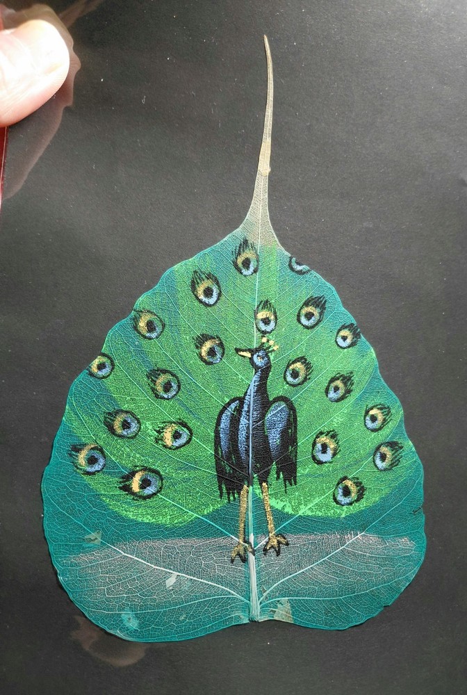 ⭐️GORGEOUS Hand Painted Peacock on Large Peepal Leaf⭐️