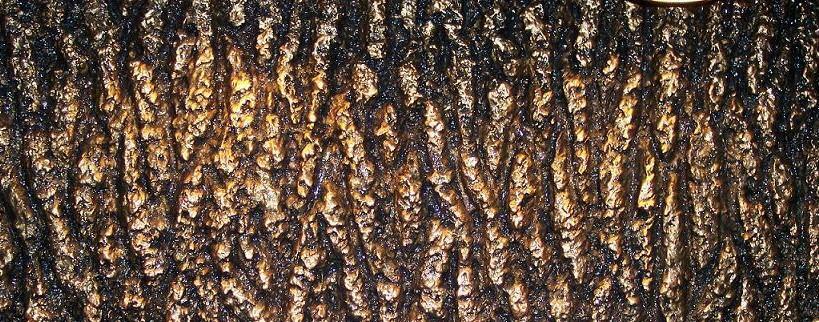 "THE ORIGINAL" TREE BARK ROLLER SET - PERFECT TREE BARK REPLICATOR - 3 ROLLERS