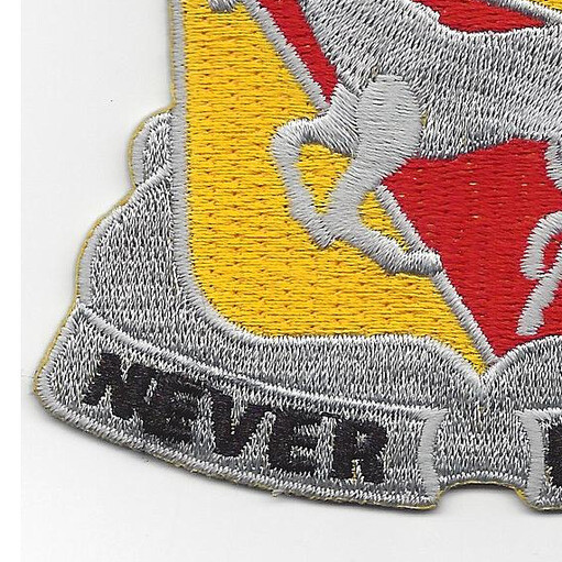221st Cavalry Regiment Patch
