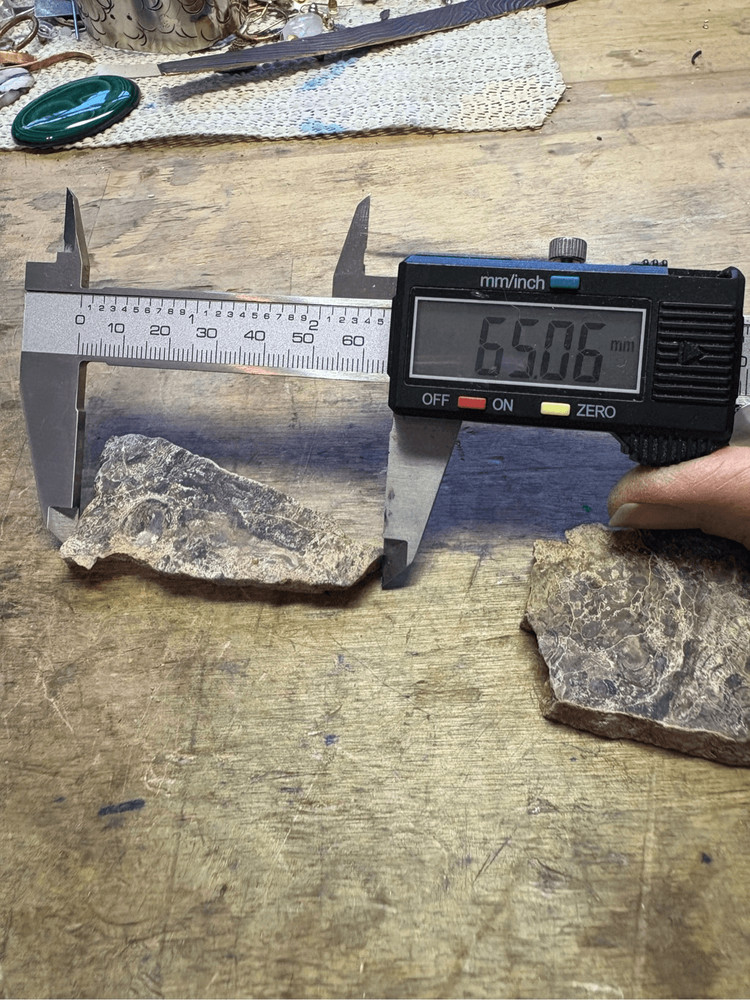 Petrified Wood Slabs (2)