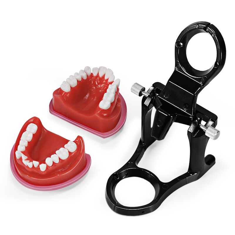 Reusable Dental Typodont Orthodontics Model Wax Teeth Training Practice