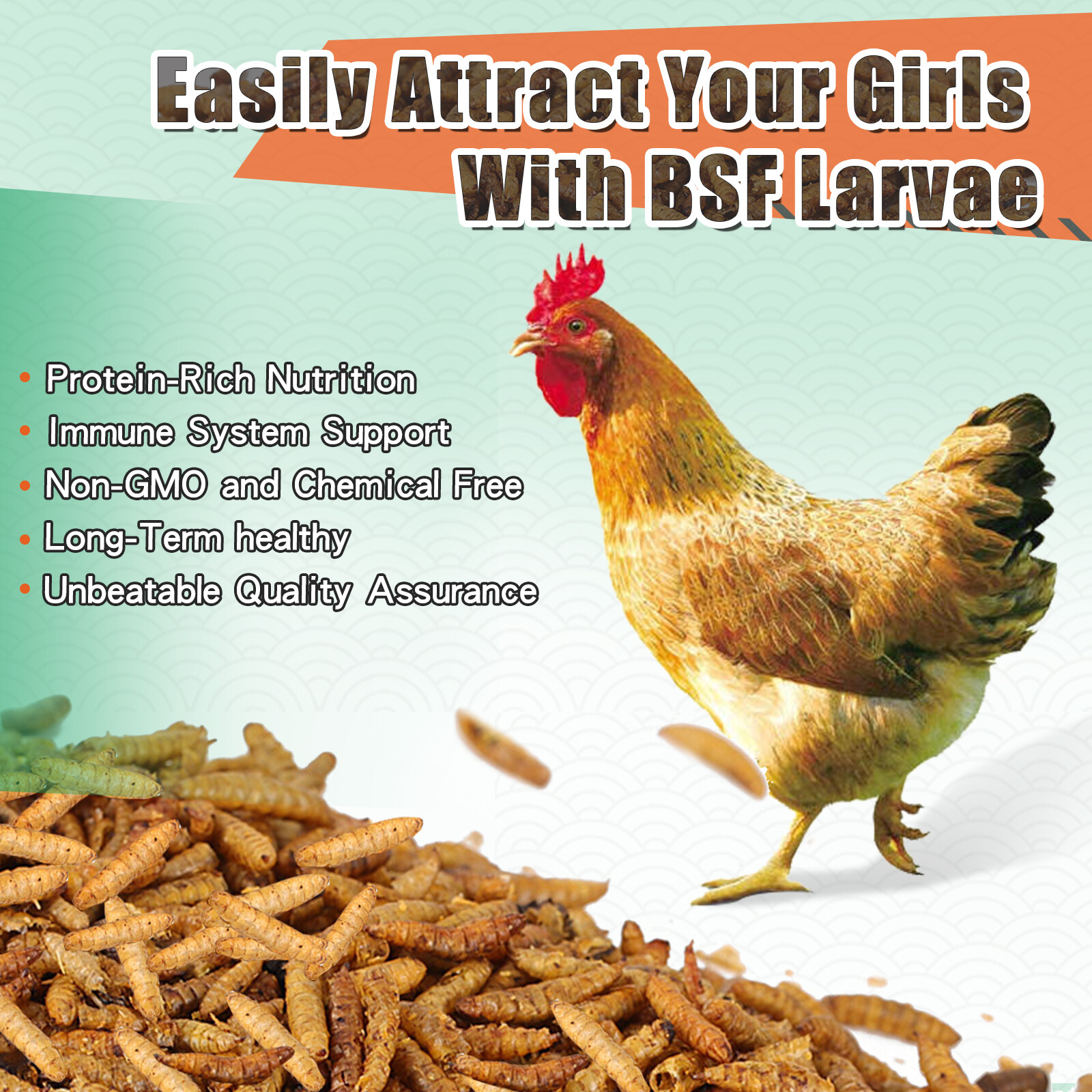 Lot Bulk 5-44LB Dried Black Soldier Fly Larvae Mealworms for Chicken Birds Treat