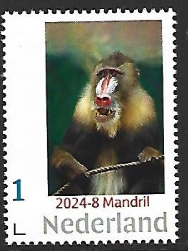 Netherlands 2024-8 Nature:   Mandrill     mnh/postfris u