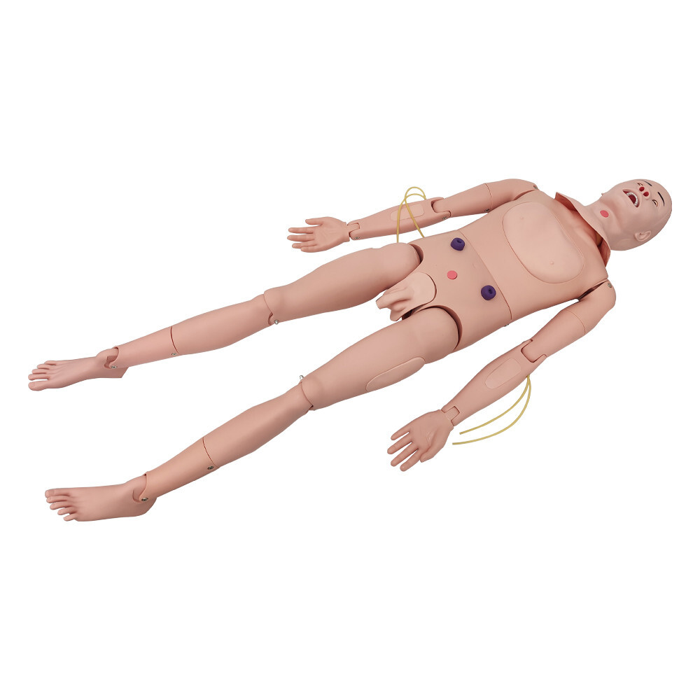 Patient Care Burn Teaching Model 24 Wound Modules Care NursingTraining Model