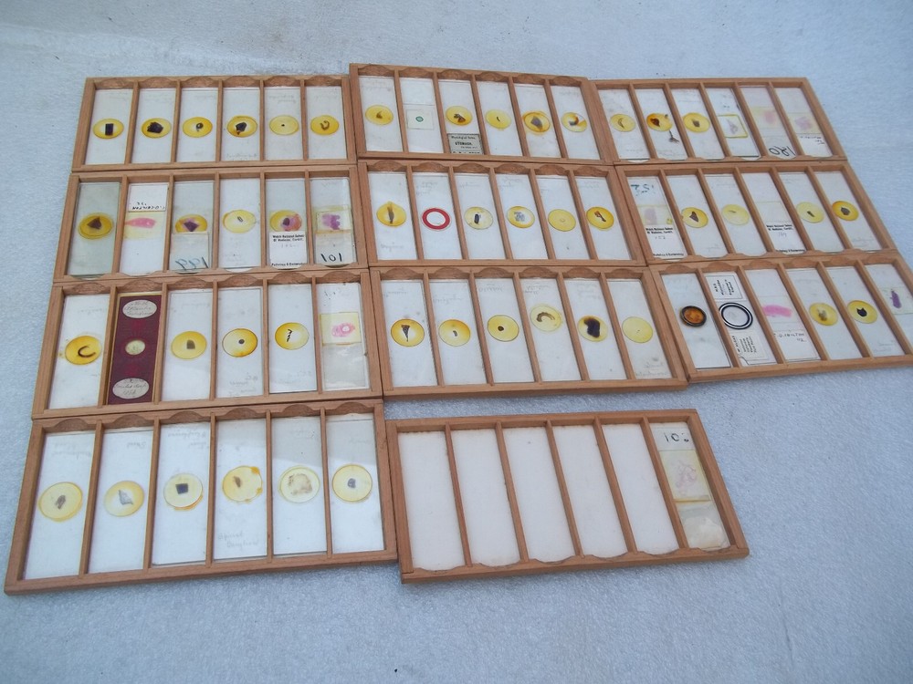 Vintage Glass Microscope Slides
