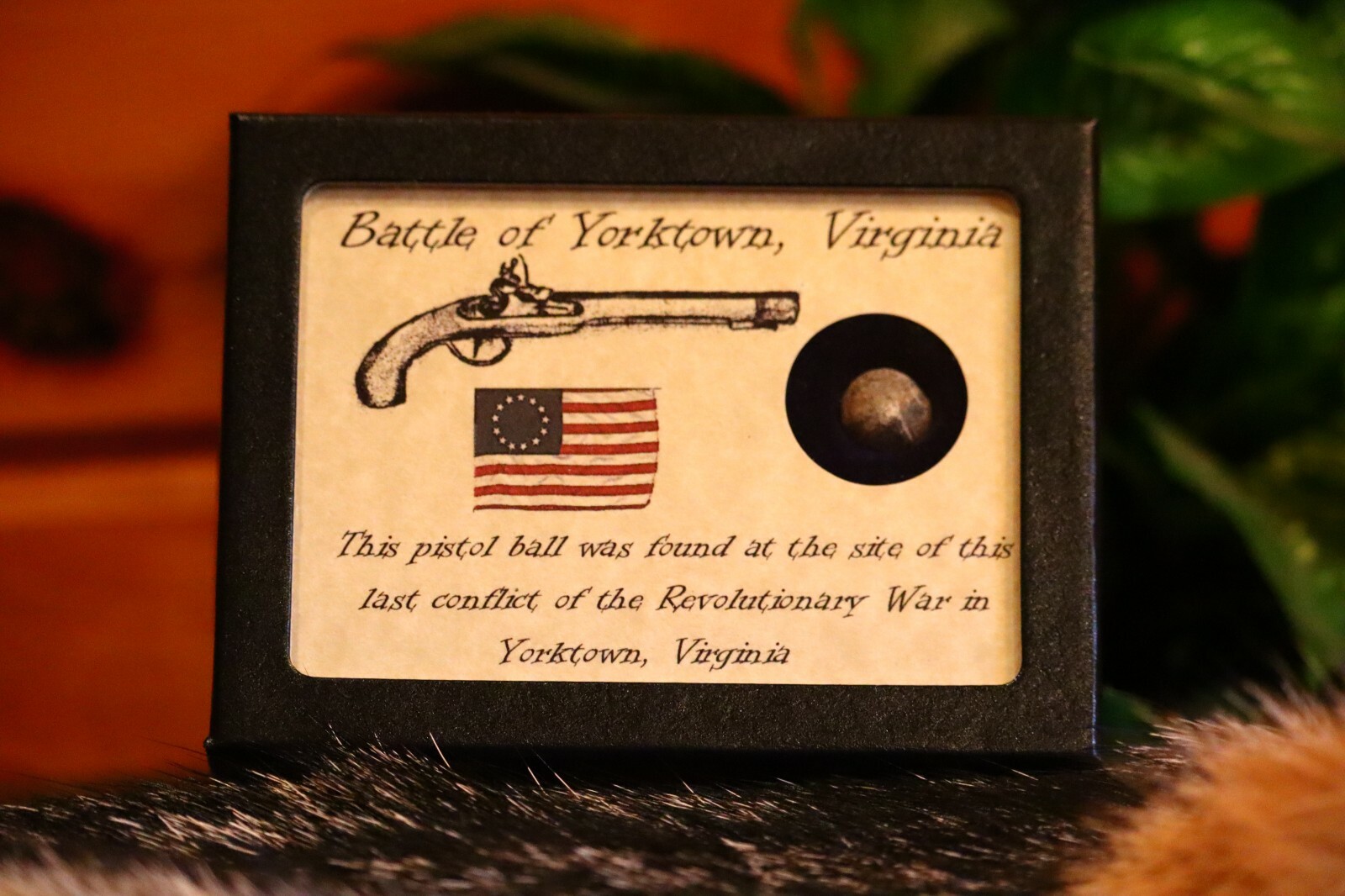Revolutionary War Pistol Ball from Yorktown, Virginia with Display Case & COA