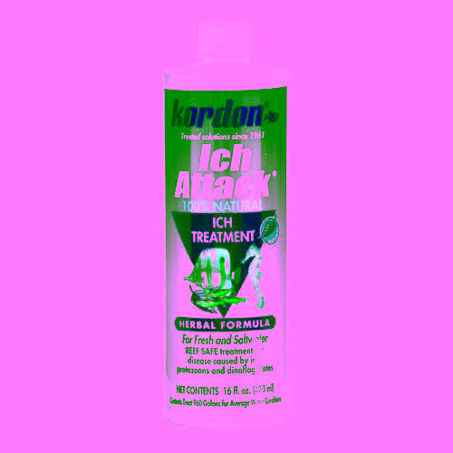 Ich Attack 16 oz by Kordon
