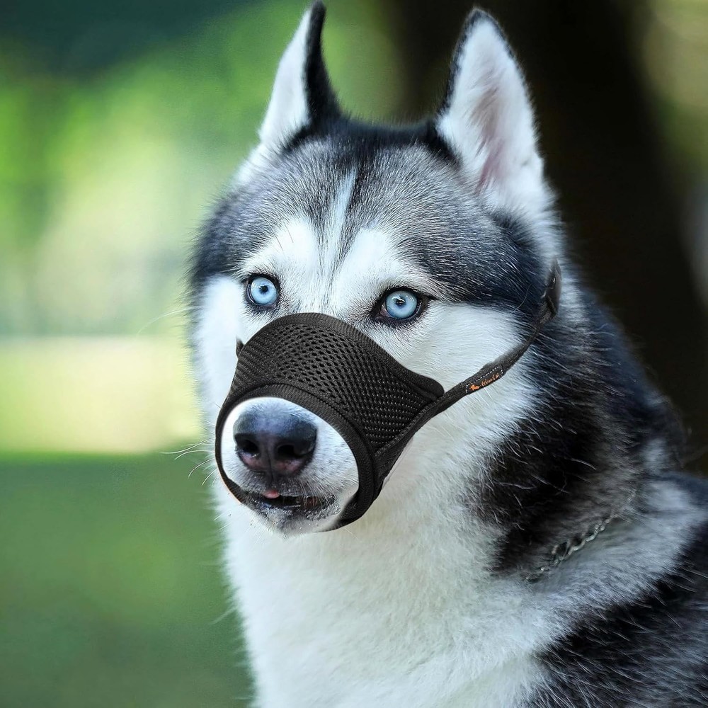 Dog Muzzle, Soft Nylon, Adjustable, Breathable, Large, Black