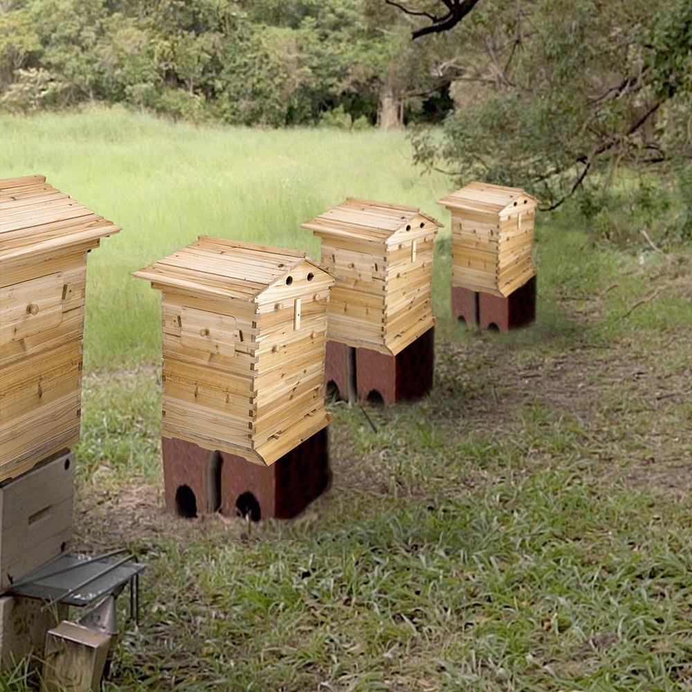 Auto Honey Bee Hive Boxes Bee Hives + 7pcs Bee Frames Beekeeping Frames