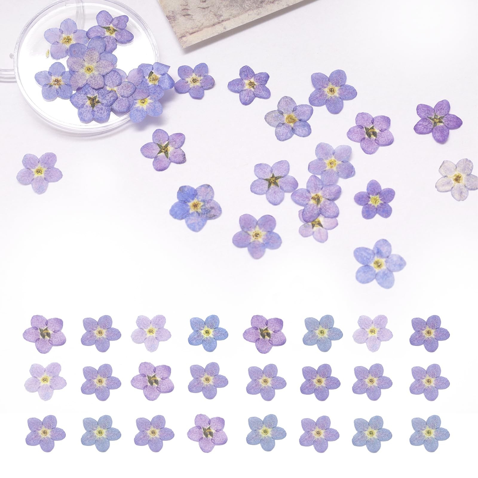 60Pcs Natural Forget Me Not Dried Flowers Real Dried Pressed Flowers Blue Don...
