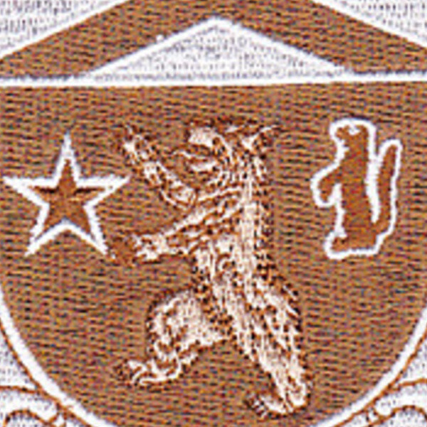 136th Infantry Regiment Patch - Desert