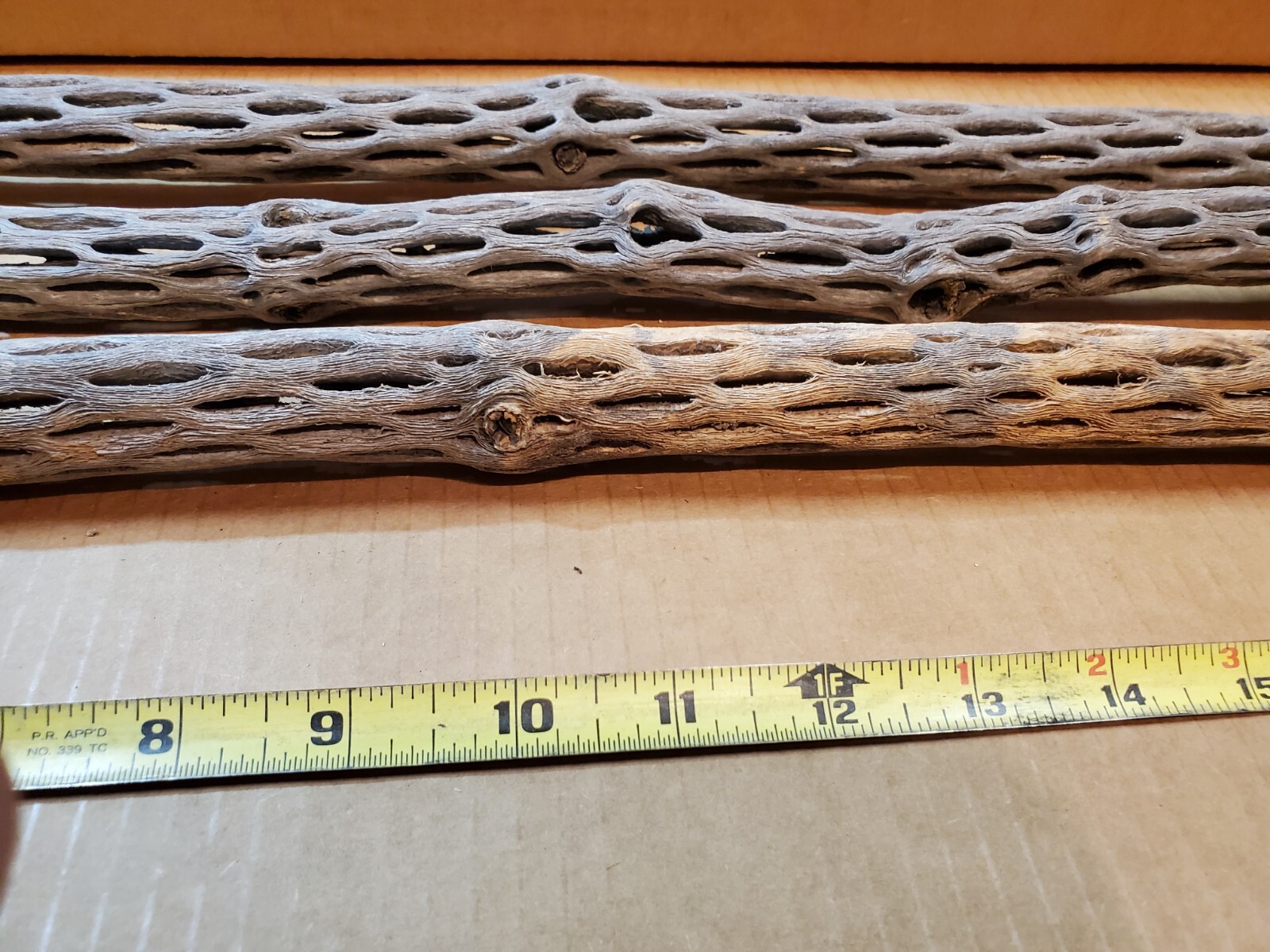 NEW! 3 CHOLLA Wood Pieces 24" inch EXTRA LONG Straight | Organic Aquarium Craft