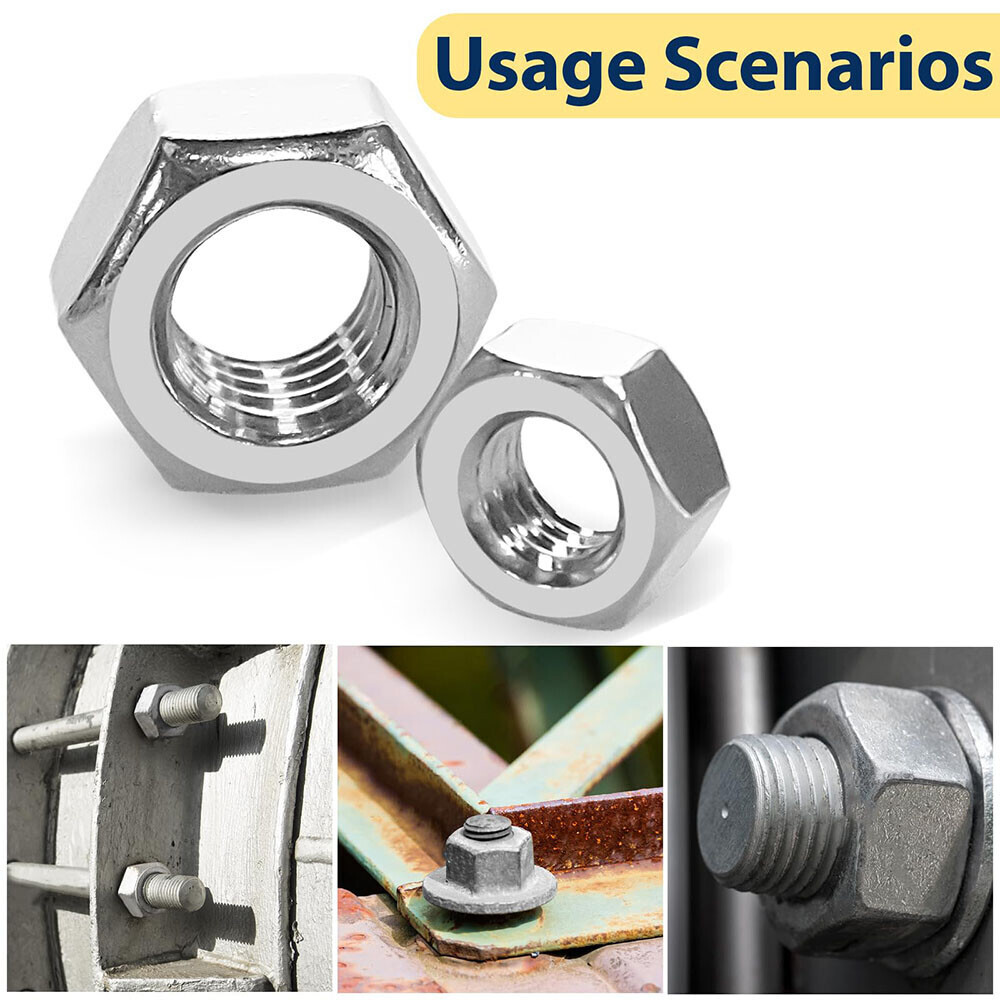 450pcs Assorted Stainless Steel Hex Nuts Assortment Kit SAE 2# - 1/2" Hex Nut