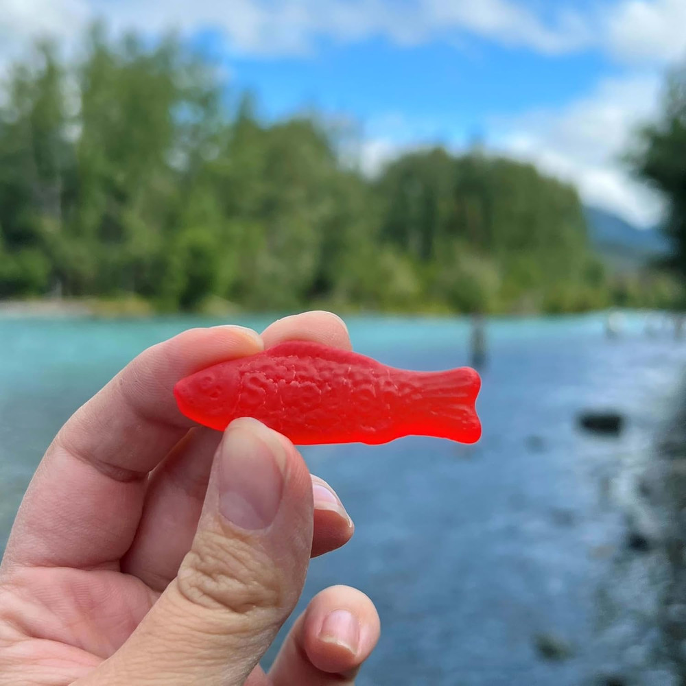 SWEDISH FISH Soft & Chewy Candy, Bulk Candy, 5 Lb