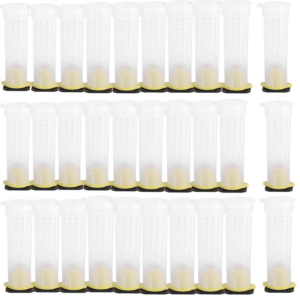 30pcs Queen Bee Roller Cages -Plastic Beekeeping Rearing Cup Kit bee...