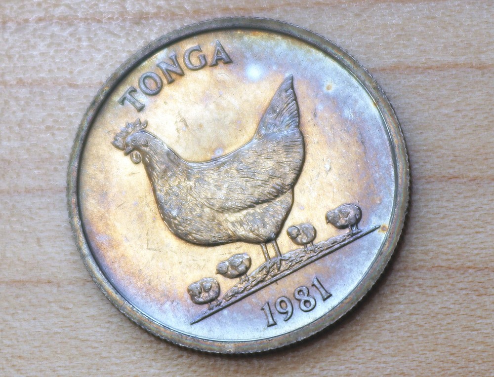 1981 Tonga 5 Seniti