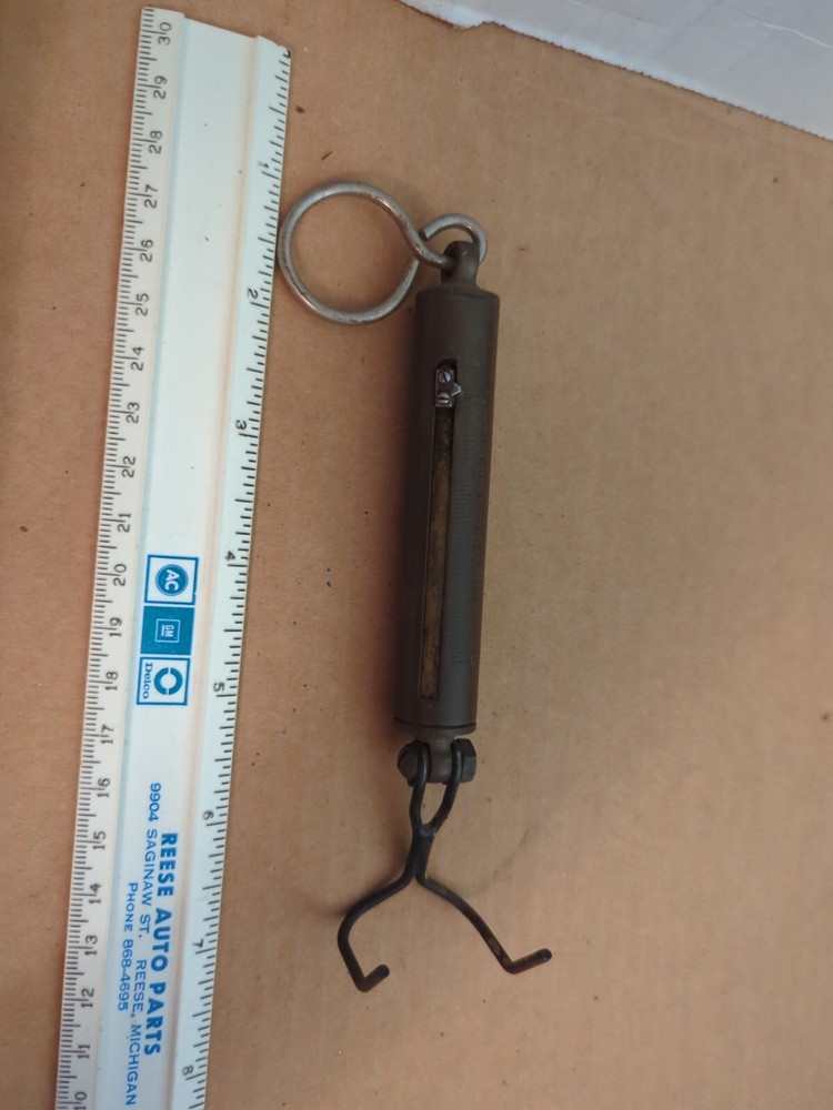 Vintage Chatillon Brass Hanging Spring Fish Scale 15 lb Capacity