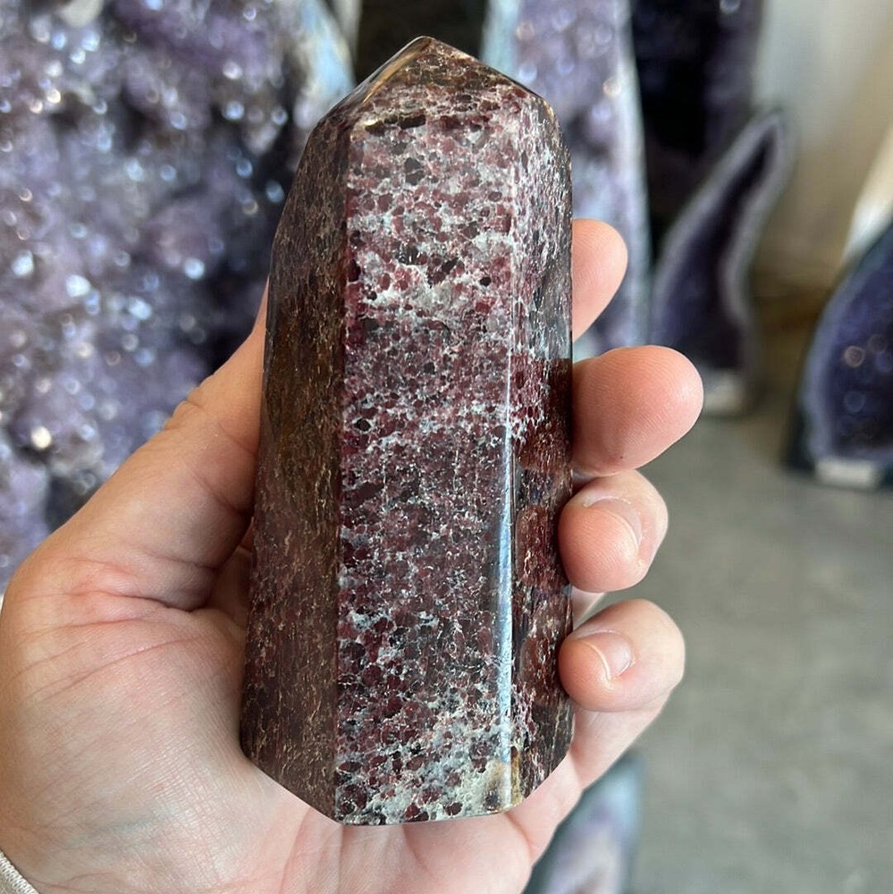 Garnet Tower F