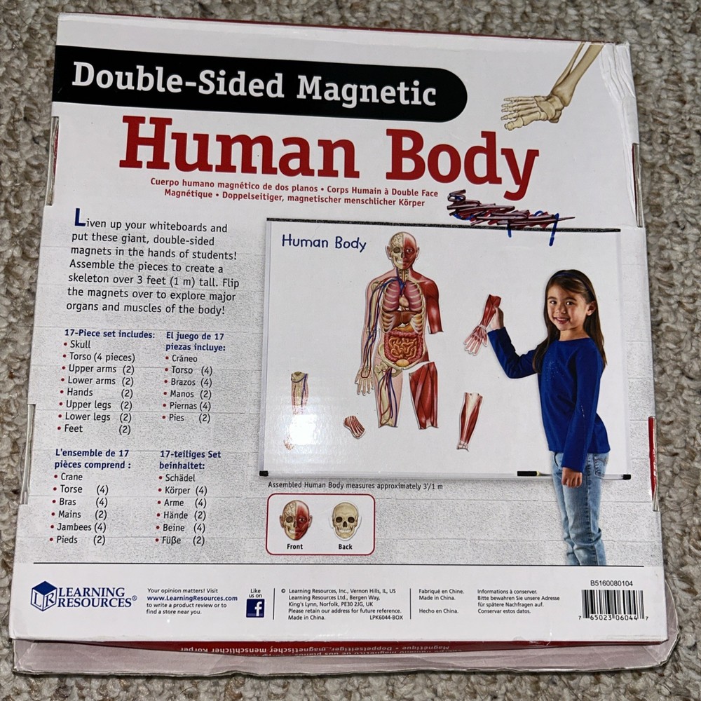 Learning Resources Double-sided Magnetic Human Body ,