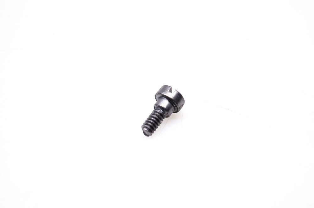 OMC 309816 Screw NOS