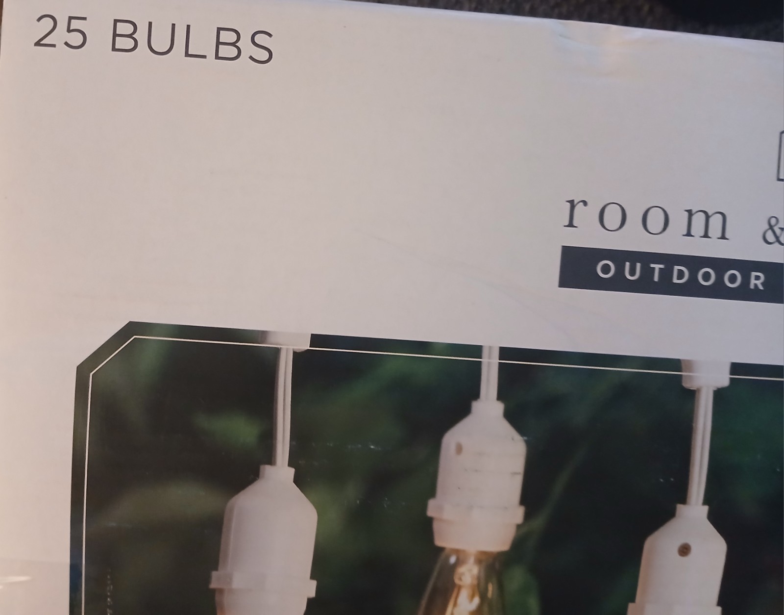 Edison Glass Bulb String Lights 25 Ct Plug-In Indoor Outdoor Home & Retreat