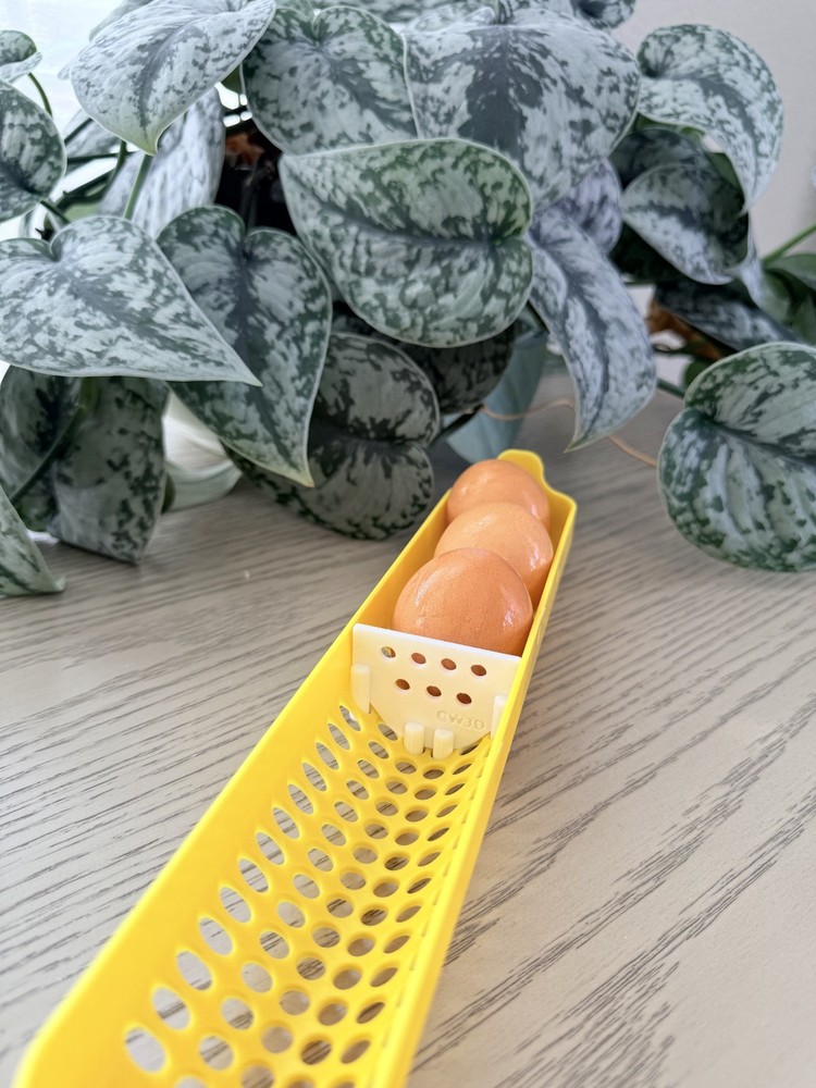MATICOOPX INCUBATOR EGG INSERTS TRAY SET OF 5