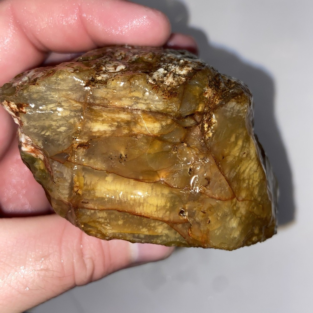 Cornflake Carnelian Unique Rough Lapidary Material 1 Pound 1.1 Oz