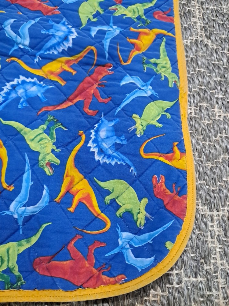Kids Dinosaur Pattern Nap Mat