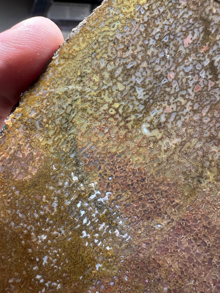 Dinosaur bone rough **hxtled slab.