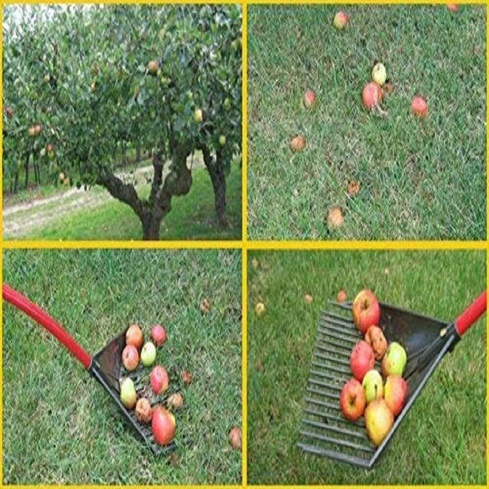 RAKE