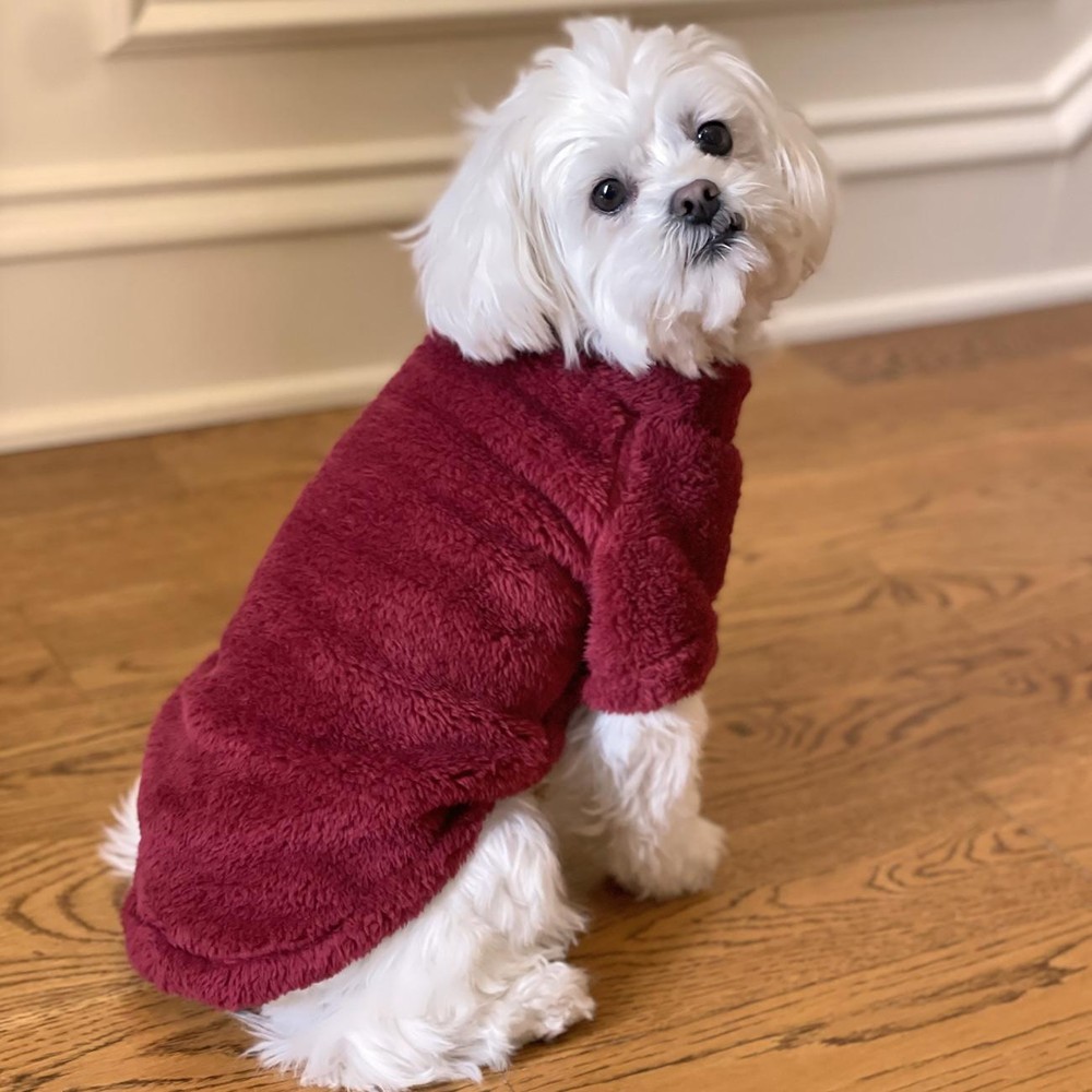 Doggie Design Soft Plush Pullover - Burgundy